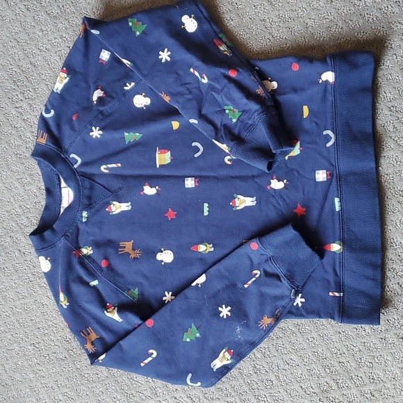 Hanna Andersson Other - Hanna Andersson Size 10 boys holiday sweatshirt